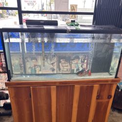 Wood Base With Glass Aquarium  With Of 55 Gallons 