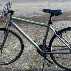 Transit Commuter Bike