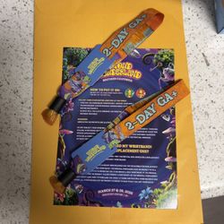 Beyond wonderland SoCal