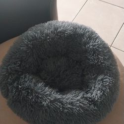 Pet Bed (Never Used)