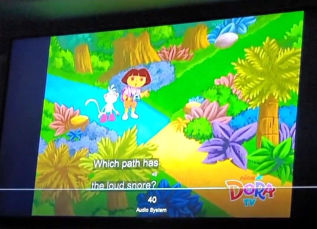Vizio 65 Inch TV