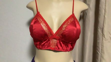 Lingerie Size SL $3