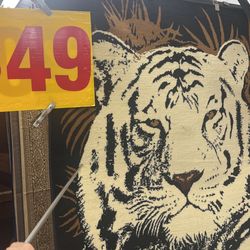 5 X 8 Feet Area Rug Tiger Black White Brown Cream