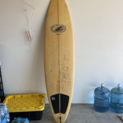 Surf Board Wayne Lynch