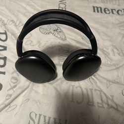 Apple Headphones 