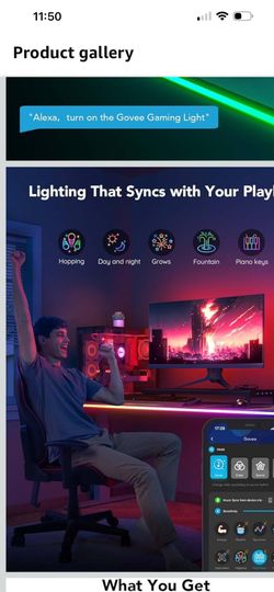 Govee led neon rope light for desks 