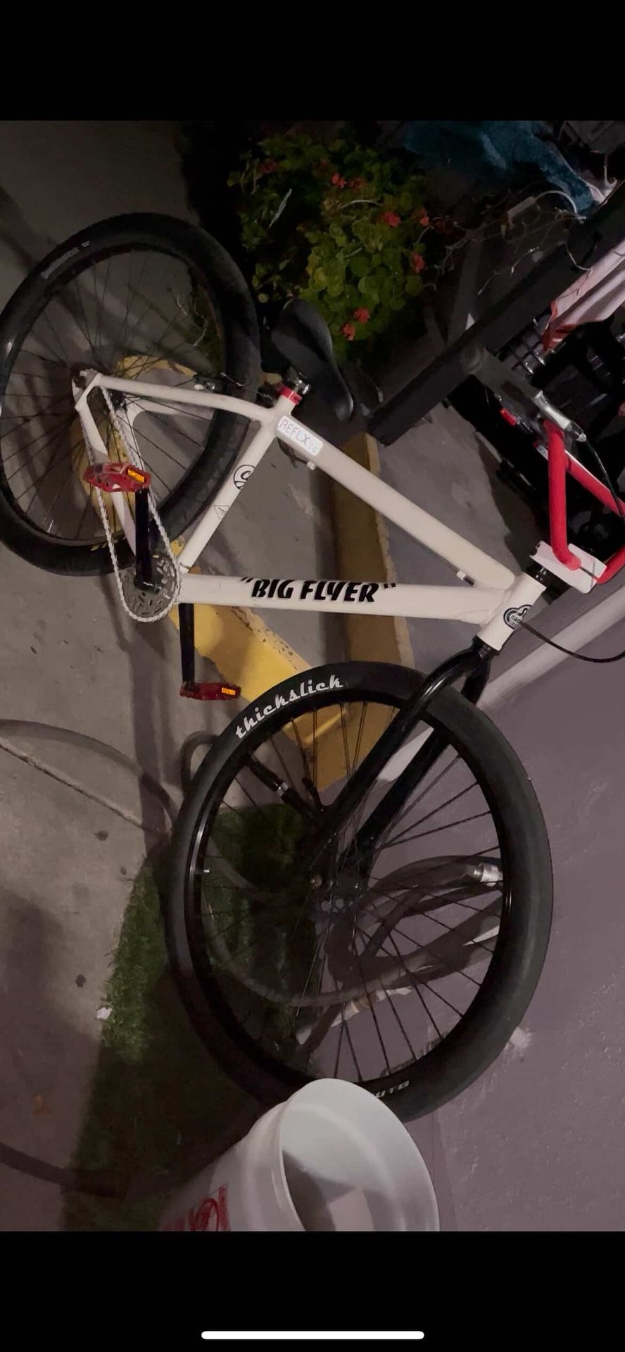 Big flyer 29