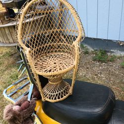 Miniature Wicker 