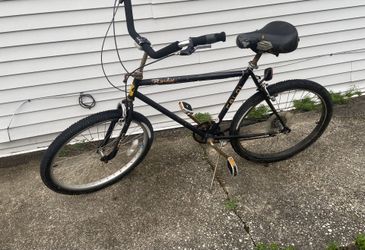 Beach cruiser bike