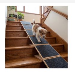Dog Ramp 6 pack