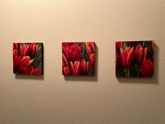 3 Panel Canvas Wall Art Tulip Garden Blooming on Season Paintings Canv - $20 (san jose south)