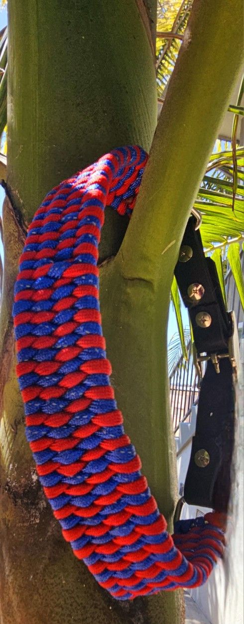 Hand Braided Dog Collar