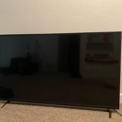 55” Insignia TV (Roku TV) 