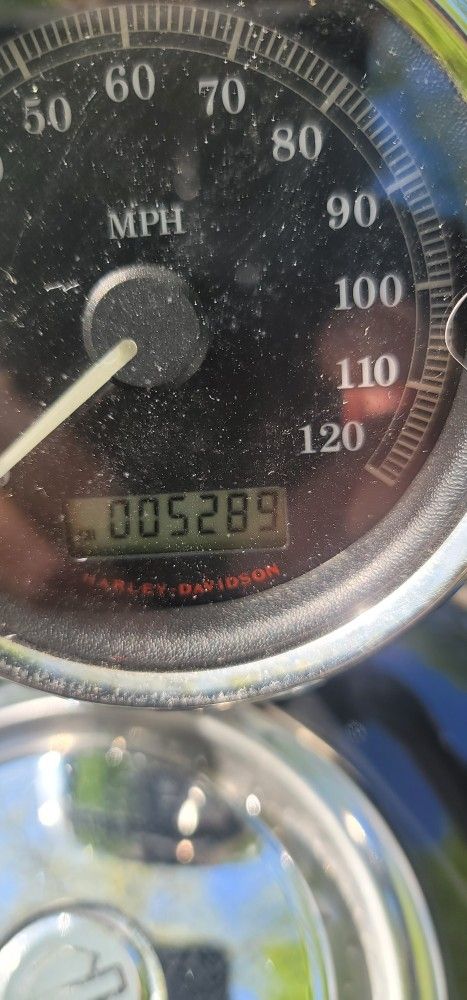 2010 Harley Davidson XL 1200 C
