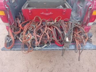 Assorted horse gear