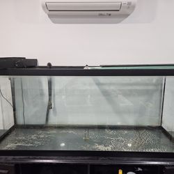 Fish Water Tank, Black Color, Good Conditions