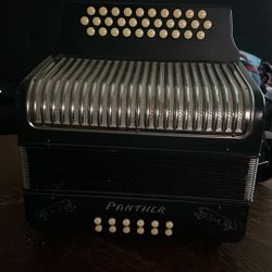 Accordion Panther 