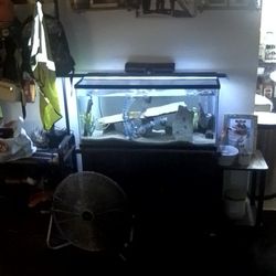 FishTank