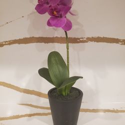 Beautiful Purple Orchid Plant Planter Black Pot Kitchen Home Decor Fabric Spa Flower 