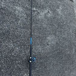 Daiwa Sealine X- Salmon Fishing/Trolling Rod And Daiwa Sealine Counter Reel