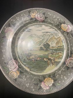 Dinner plate