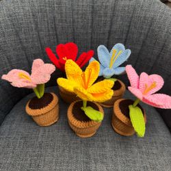 Handmade Amigurumi Crochet Lily Flower Pots