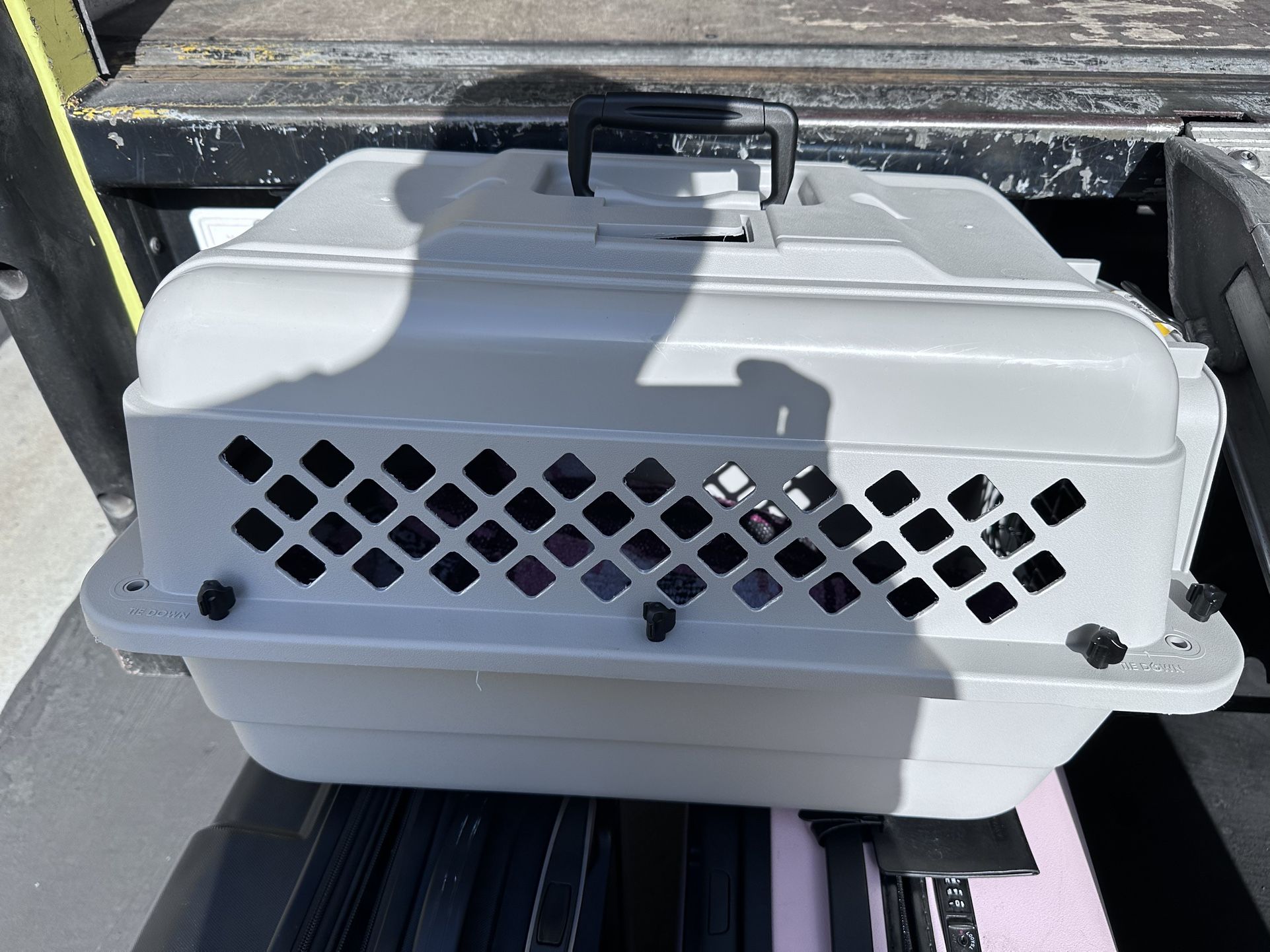 XS DOG crate