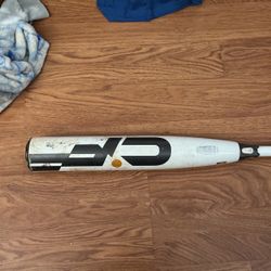 Baseball Bat Goes For 350 Selling For 150