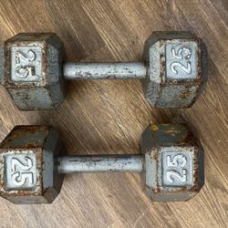 25 Lbs Dumbbells 