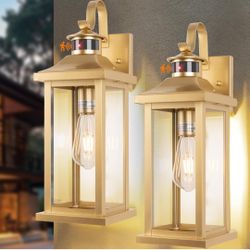 2 Pack Gold Disk To Dawn Motion Sensor Lights