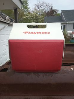 Playmate carry Cooler