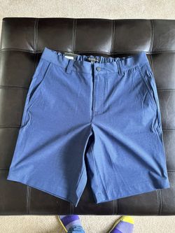Banana Republic Shorts 