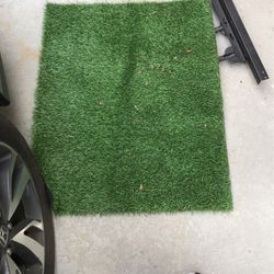 3.2x2.3 Ft Grass Pets