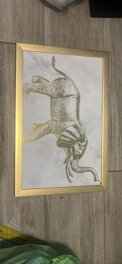 Elephant framed picture