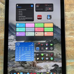 Apple iPad mini 6th Generation 64GB Space Gray With Metapen