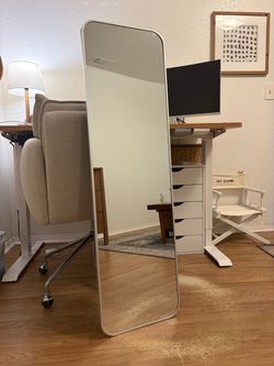 48" x 14" Full Length Mirror, Silver
