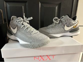 Zoom LeBron NXXT Gen size 8 Men