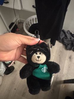 Starbucks cat bear