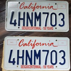 New Stock White Vintage License Plates Matching Pair Duo Unregistered 