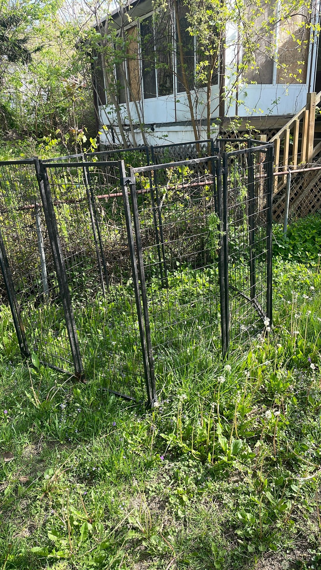 Big Dog Kennel