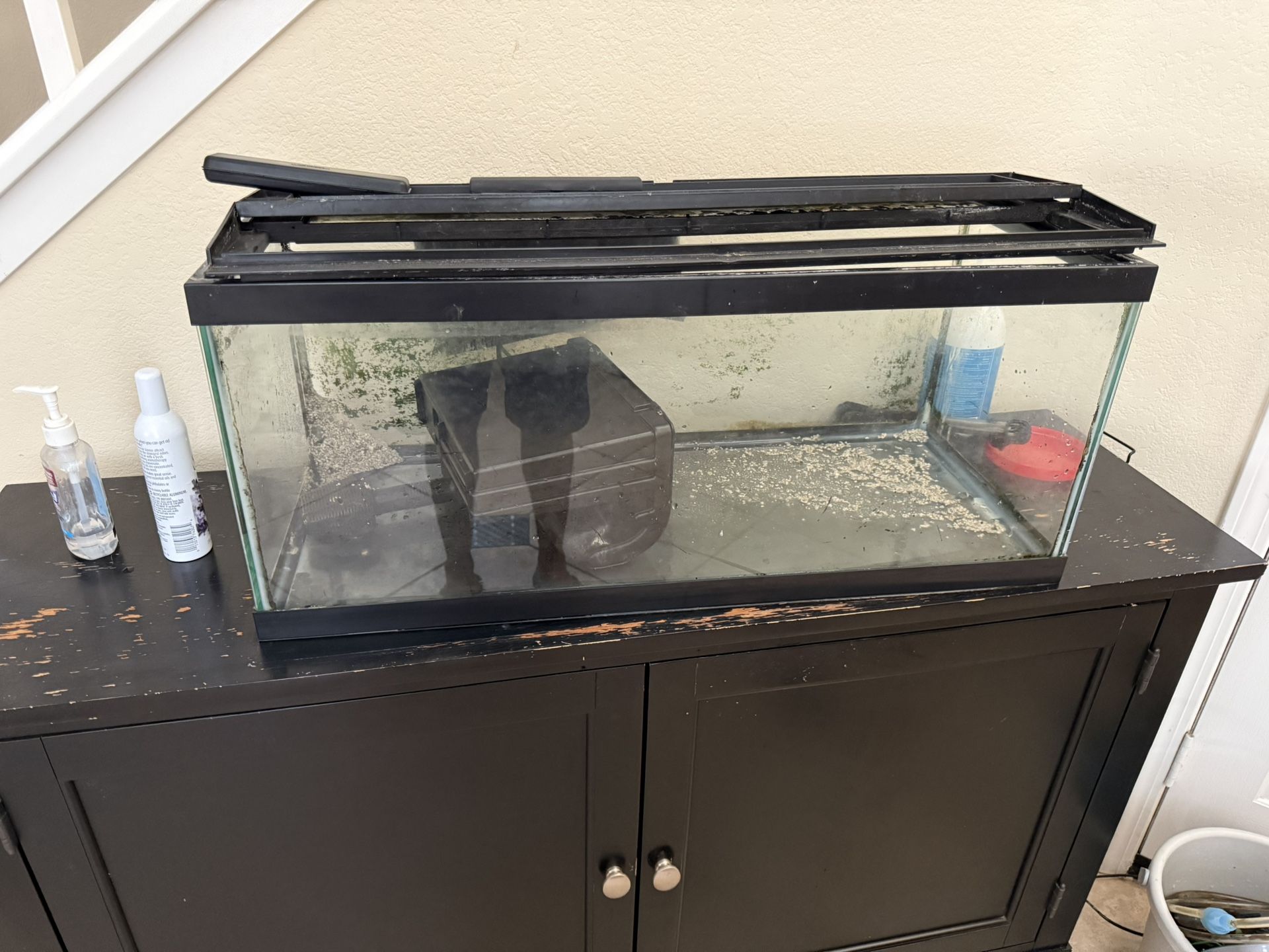 Fish Tank & Accessories