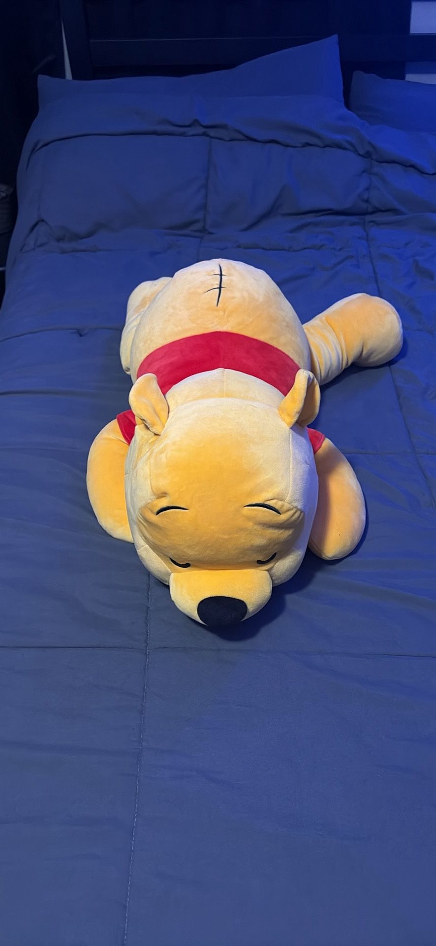 Winnie the pooh cuddleez plush