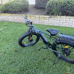 Full-Size Electric Bike | 1500W Peak Power | Fat Tire Setup