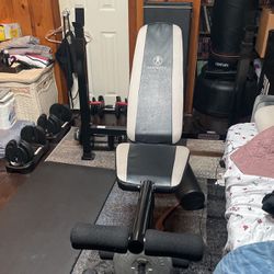 Workout Bench with Leg Press.