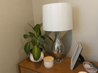 Mercury Glass Table Lamps (2)