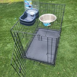 MEDIUM DOG CREATE + EXTRAS