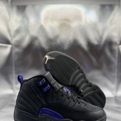 Air Jordan 12 Dark Concord GS 