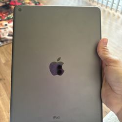 iPad 