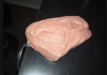 Reptile Rock