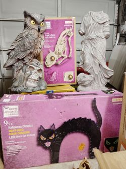 HALLOWEEN ALL $320